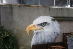 Arend